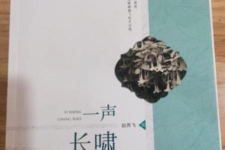 一辈子忙碌的命:在繁忙生活中寻找人生的意义与平衡