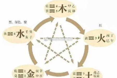 五行再生:鼠年出生者的命理解析与人生启示