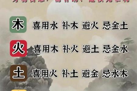 五行之中,土木相生的命理探秘