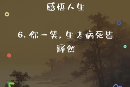 天生如命,生死如命:探索生命的真谛与意义