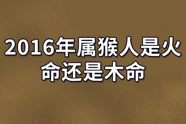 为木命开公司起名字的最佳选择，让企业蓬勃发展！