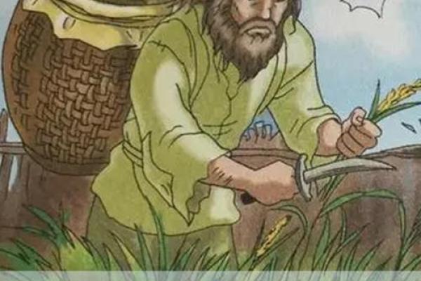 探寻命运：人一生中命里的定数与自由意志的博弈