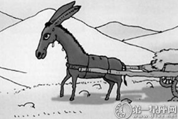探秘红颜祸水命：致命魅力背后的故事与解析