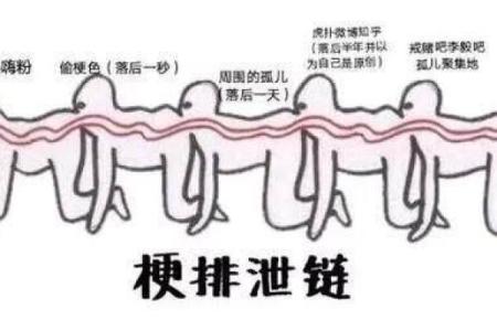 探究“命也是命”的背后：梗文化与人生哲学的交汇
