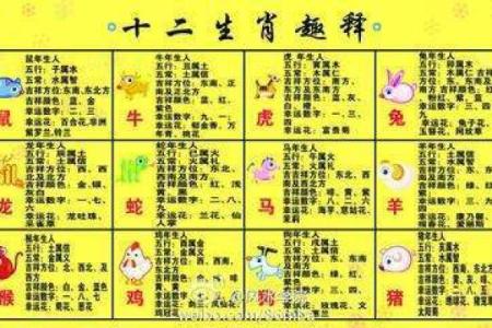 通变比肩格女命:解析适合嫁的男人类型与婚配之道