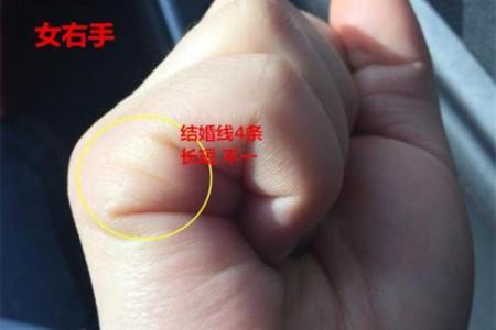 五十岁属猪男人生辰命运解析:生命的智慧与财富之道