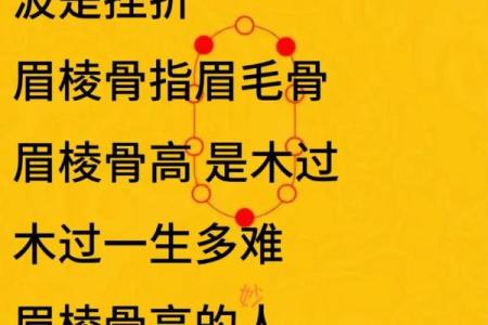 探索细推此命妙目清:解读命理背后的智慧与启示