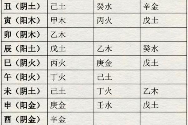阳命与阴命的奥秘揭示：如何根据生辰八字解读命运