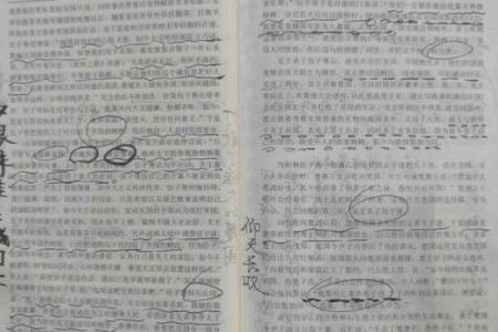 戊戌年男命:命运与性格的深度剖析与人生启示