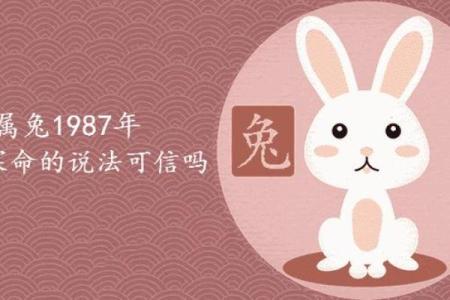 兔年出生的男孩:属兔男孩在鼠卯时的命运解析与人生建议