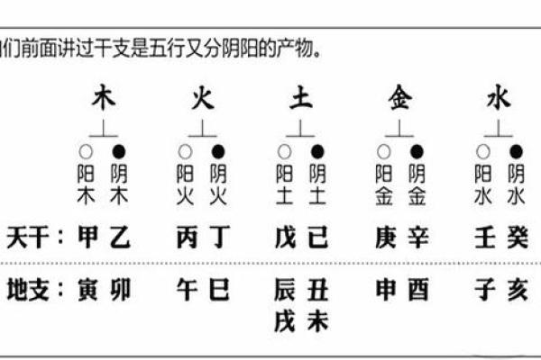探索生命之源：太阳与树木在命理中的五行归属