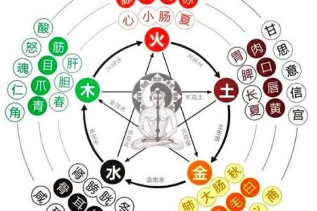 为木命人避开五行缺失,探索美名的奥秘