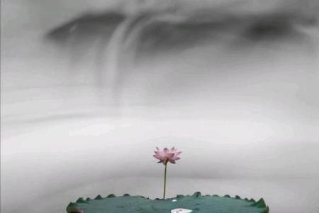 探索木命二阳四阴:卦象背后的深刻智慧与启示