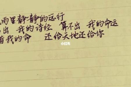 小孩变命:命运的交汇与成长的奇幻旅程
