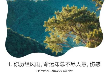 一生被人骗,命运的无奈与反思:你是否也曾经历过?