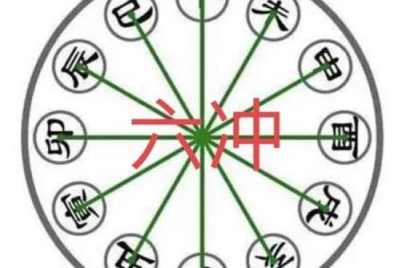 探秘仙命二十四山:穿越时空的命理之旅