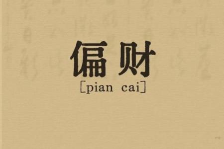 探秘阴命与阳命:命理背后的神秘世界与人生启示