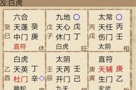 正月出生的蛇:命格解读与人生特质解析