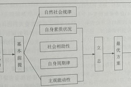 五行属土命人:稳重踏实的人生哲学与命运解析