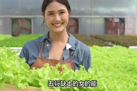 土命适合开什么门市?探索与土命相辅相成的生意机会!