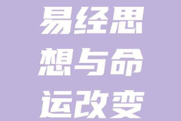 探寻命运的奥秘：一命、六命、三命与四命的深刻启示