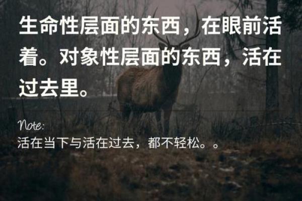探秘三线合一命理：揭示命运与人生的深层关系