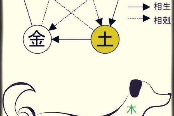 五行水命解析：水的特性、影响及调和之道