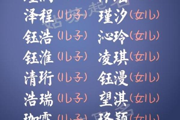 怎么看的名字是什么命，探索姓名背后的奥秘与命运