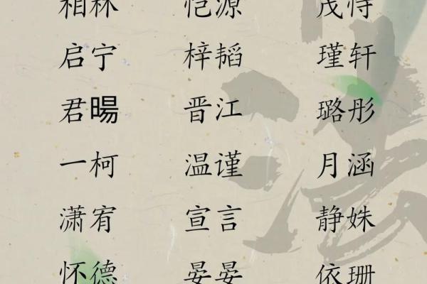土命男孩起名指南：如何为您的小宝贝选择寓意深远的名字