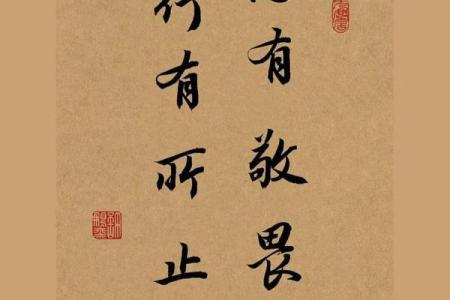 探寻命运的奥秘:一命、六命、三命与四命的深刻启示