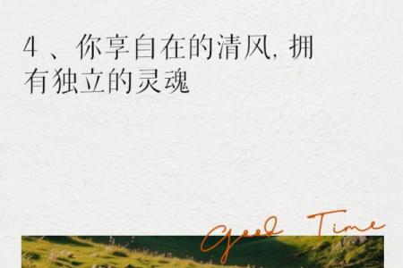 终于没有应命的自由与选择:追寻内心的真实