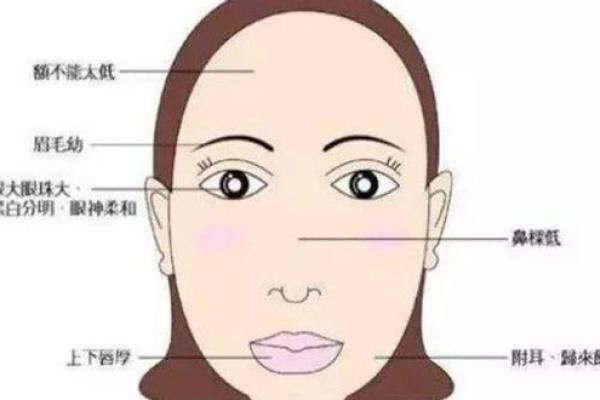 探秘农历八月出生的人：命运与性格的深度解析