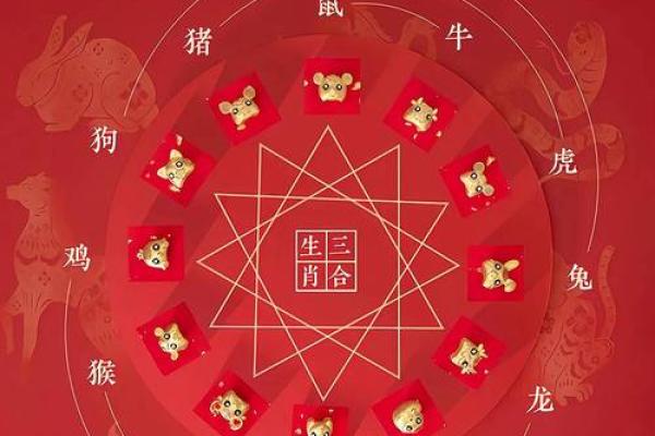 为什么有属鸡却没有属鸭的命？探讨传统文化中的象征意义与动物命理