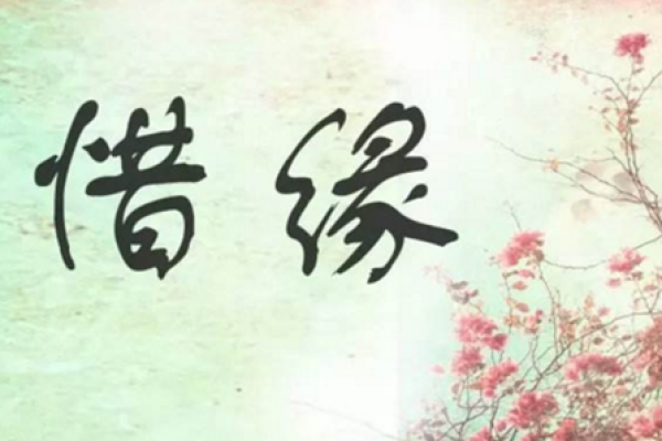 探究己亥女命的正缘：命理与感情的完美结合