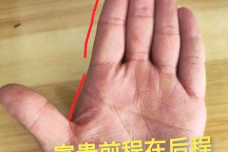 通过手相解读:揭示你命运的秘密与转折点
