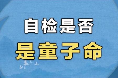 童子命为何爱上病痛?揭开命运与情感的神秘面纱