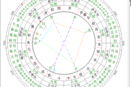五月出生的牛：他们命格背后的秘密与命运探究
