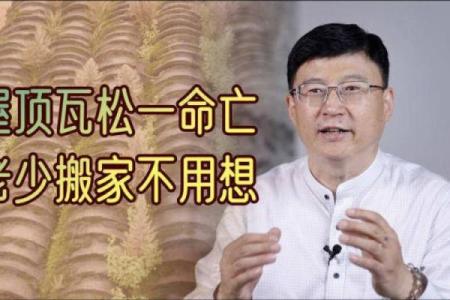 屋顶瓦松一命亡:那些被忽略的危险与生活智慧