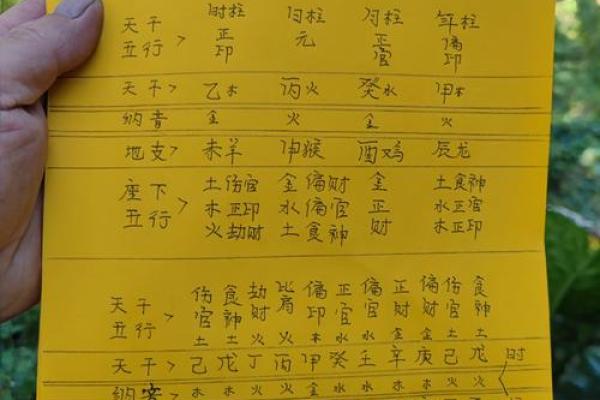 向财之命：解密财富与命运的奥秘之路