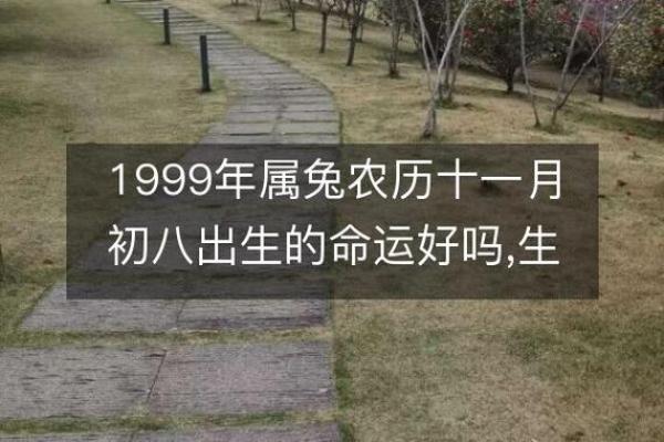 探秘阴历八月初十出生者的命运与性格特征