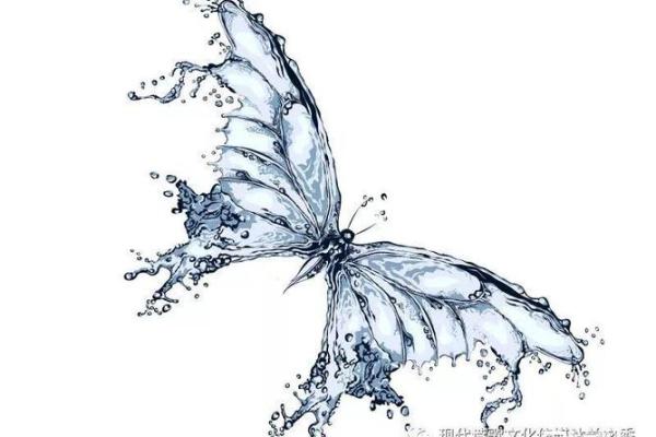 文雅萱：灵动舞姿中的命运之花，探寻内心的和谐与平静