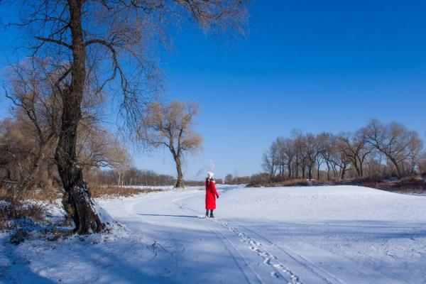 走进90年女马命：探寻独特的命理与人生旅程