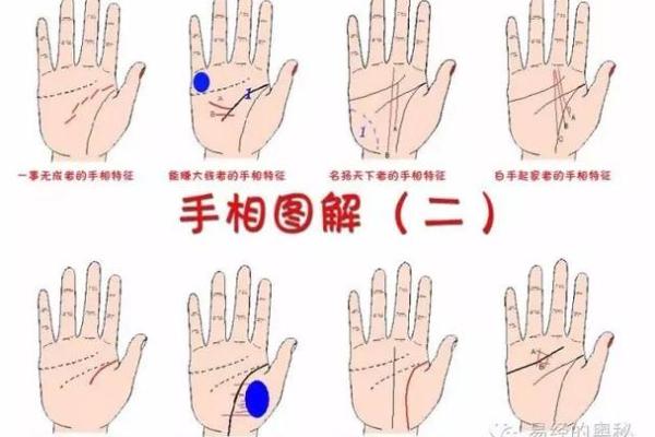 探寻长寿命的命理奥秘：让生活更美好的一系列建议
