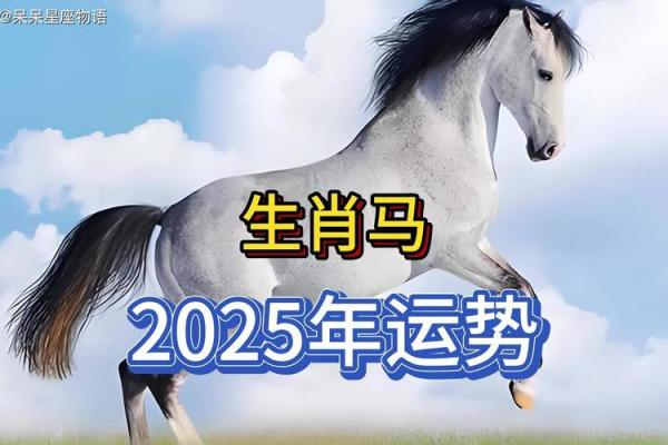 五十岁的马在命理中的象征与运势解析