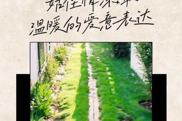为什么要有小孩：未来的希望与爱的延续
