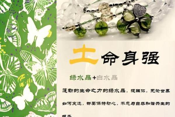 探讨土命与木命的相生相克，打造和谐人生之道