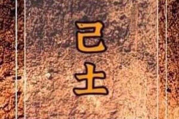 探讨阴历六月初七出生者的命理与性格特征