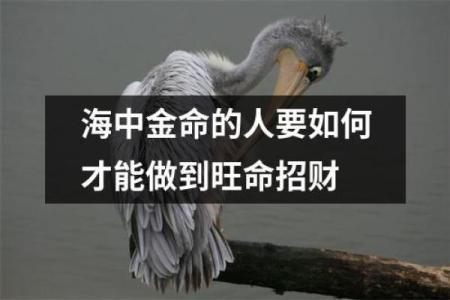 探索男命海中金:了解海中金的命理特征与性格解析