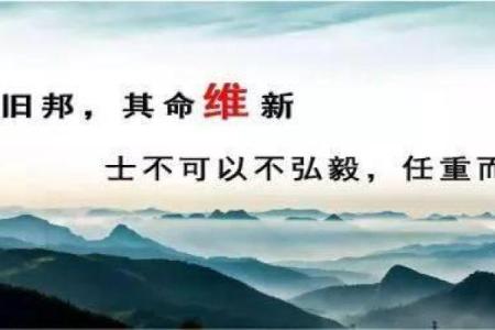 探寻维新命格的魅力与密码:解读个人运势新视角