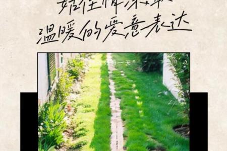 为什么要有小孩:未来的希望与爱的延续